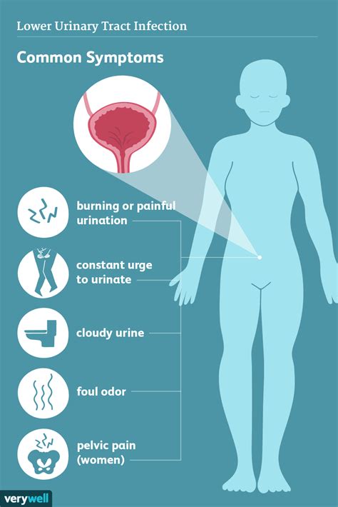 Urinary Tract Infections Symptoms And Complications