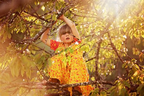 Free Images Tree Nature Branch Person Girl Sunlight Leaf