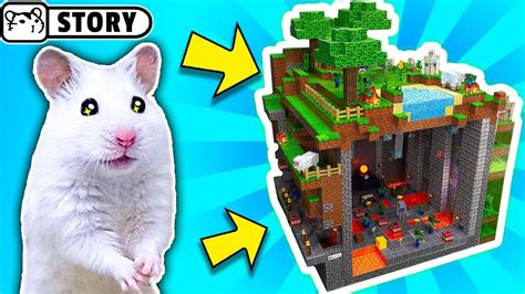 The Worlds Largest Hamster Maze Obstacle Course 2 🐹 Come And Enjoy