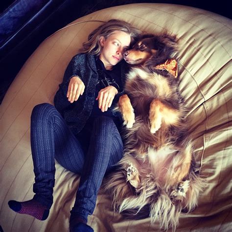 Celebrity Dogs 11 Stars Who Love Their Dogs As Much As We Do