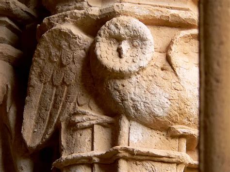 Famous Owls In Mythology A Knowledge Archive