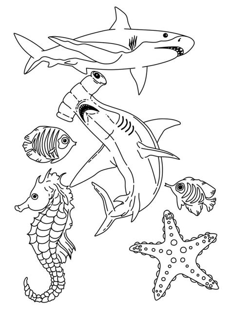 Free Under The Sea Coloring Pages To Print For Kids Free Printable