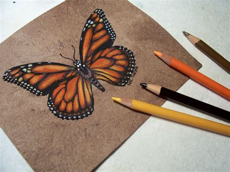 Tutorial Tips On Drawing A Butterfly Butterfly Drawing Butterfly