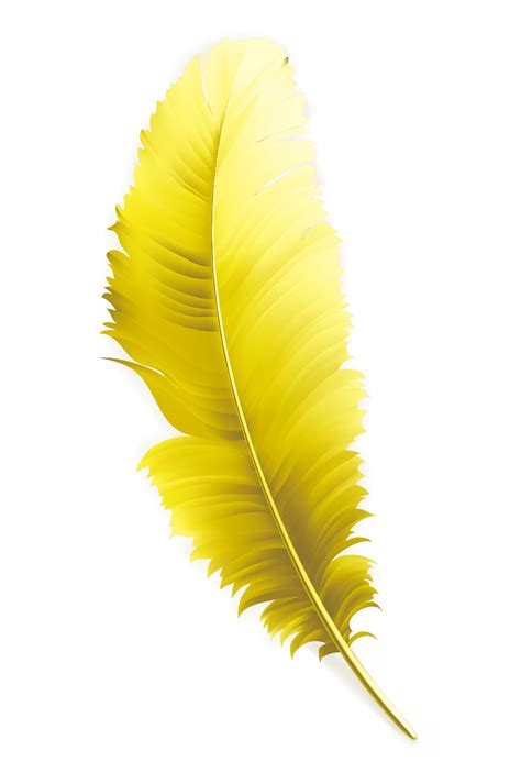 Yellow Feather Clipart Png 10 Free Cliparts Download Images On