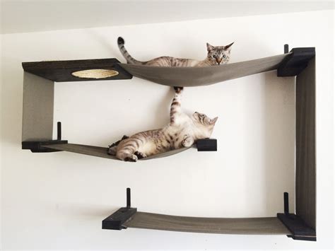 Catastrophic Creations Wall Mounted Cat Furniture For Notorious Felines
