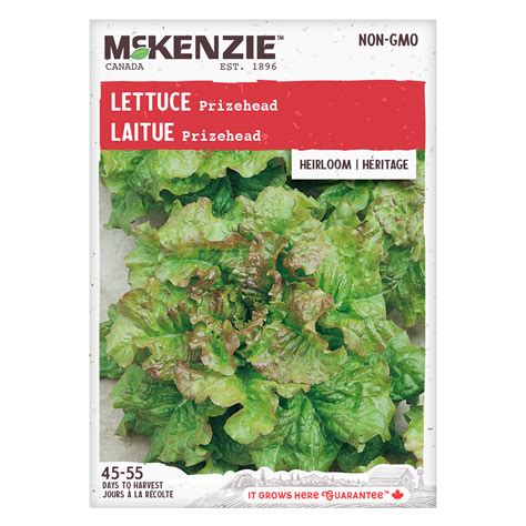 Lettuce Seeds Prizehead Mckenzie Seeds