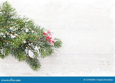 Christmas Fir Tree Branch Covered By Snow On Wood Stock Image Image
