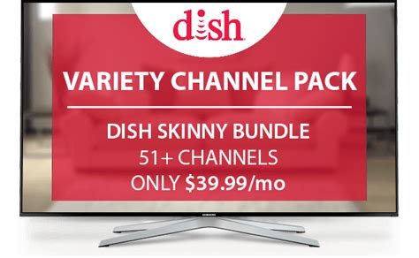 DISH Variety Channel Pack | DISH Flex Pack Variety Add On