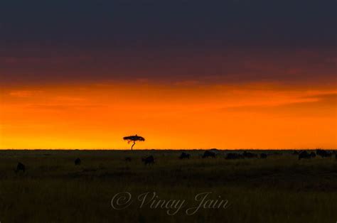 Masai Mara Sunrise Sunset Sunset Sunrise