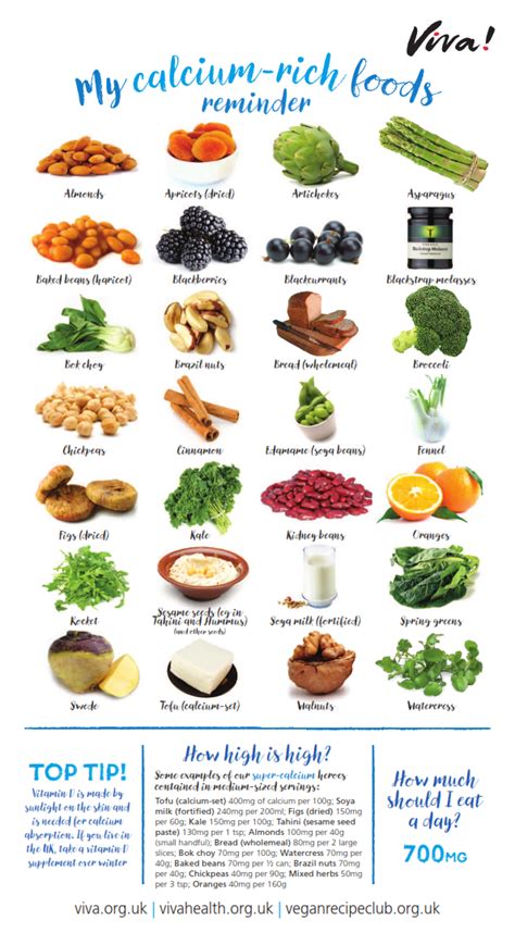 Calcium Rich Foods Wallchart Viva Health Vegan Nutrition Calcium