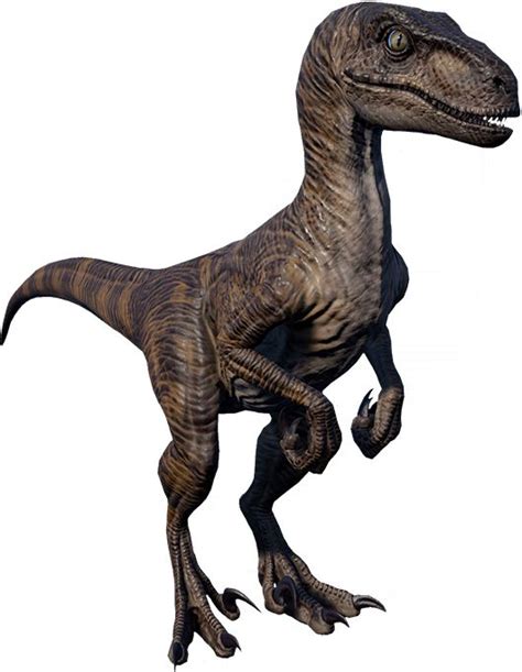 Velociraptor 1993 In 2020 Velociraptor Dinosaur Art Jurassic World