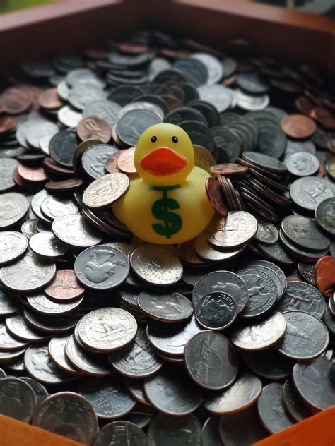 The rare money duck. Some call him Scrooge. : rubberducks