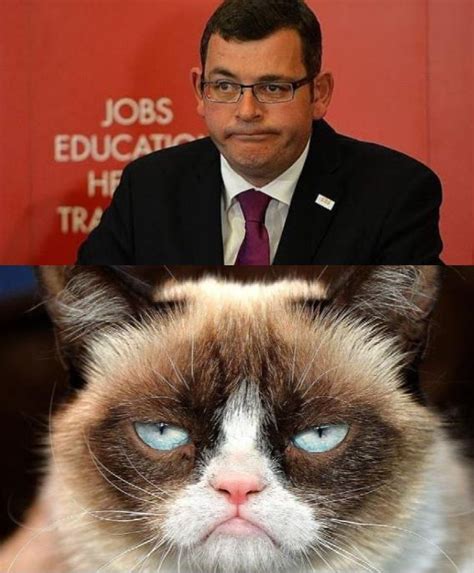 There is currently no wiki page for the tag daniel andrews. Grumpy Cat Dopey Dan Blank Template - Imgflip