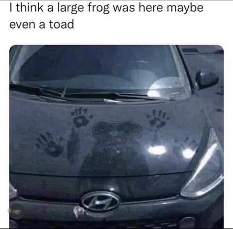 Large Frog Rholup