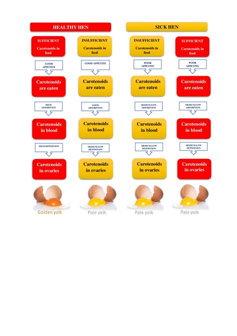 FACTORS INFLUENCING EGG YOLK AND ITS PIGMENTATION