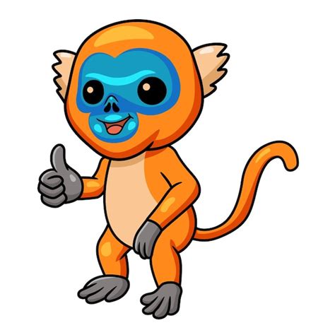 Premium Vector Cute Little Golden Monkey Cartoon Giving Thumb Up