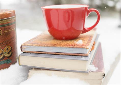 A List Of The Best Christmas Story Collections To Read Club31women