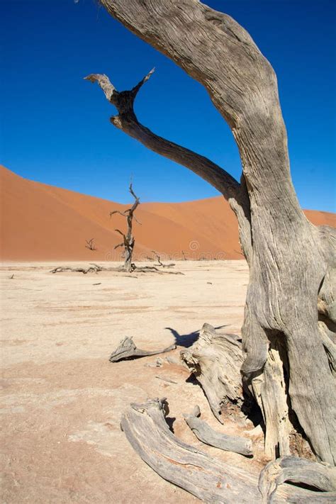 Travel In Namibia From Namib Desert To Boarder Of Angola Stock Photo