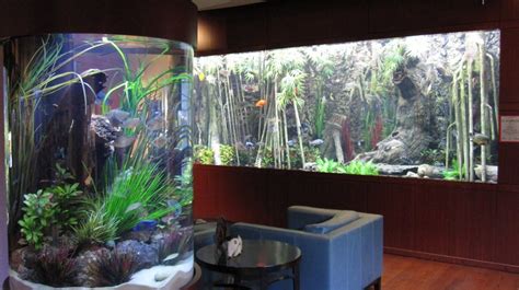 Simple Modern Fish Aquarium With Low Cost Home Decorating Ideas