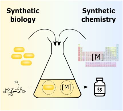 The Bipartisan Future Of Synthetic Chemistry And Synthetic Biology