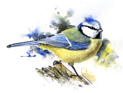Bird Blue Tit Watercolour Painting Art Print Limited
