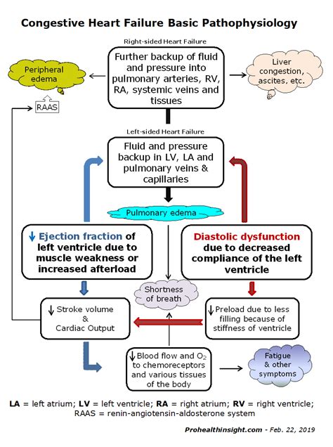 What Congestive Heart Failure Is And Isnt Basic Insights Heart