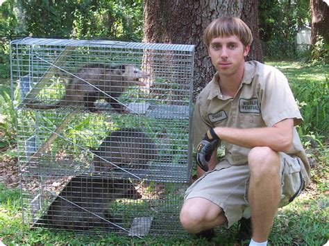 Wildlife Management In Orlando Florida