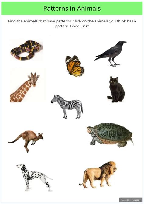 Patterns