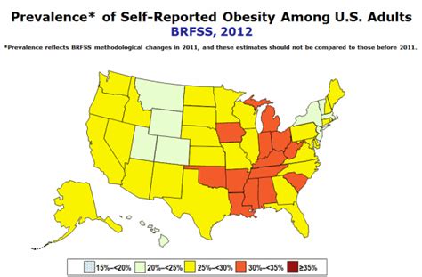 Obesity Statistics In The United States