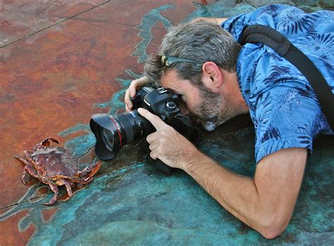 Here is Video of Crabs Racing on Eureka's Waterfront (VIDEO) | Lost