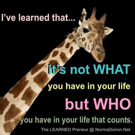 What The Heck Why A Giraffe Is This A Joke Giraffe Quotes