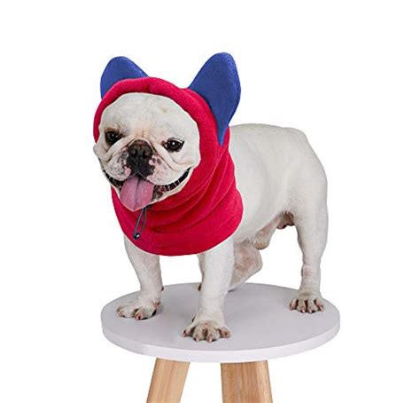 Best French Bulldog Hats With Ears