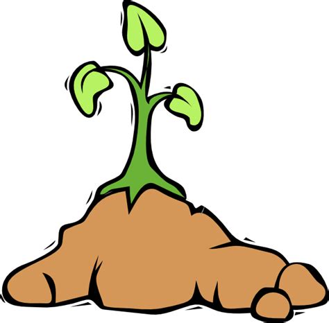 Cartoon Plant Growing In Plant Pot Clip Art Library