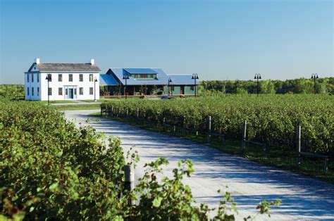 Sip Your Way Through The Top Wineries In Niagara Canada Skyscanner