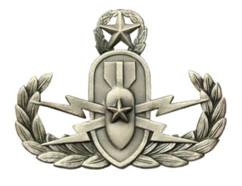 Navy Badge Master Explosive Ordnance Disposal Regulation Oxidized