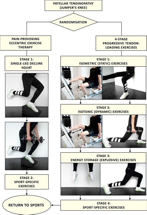 Effectiveness Of Progressive Tendon Loading Exercise Therapy In