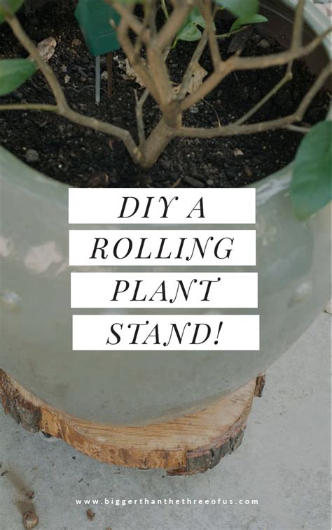 Make This Diy Wood Rolling Plant Stand In Just A Few Minutes