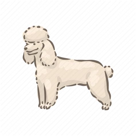 Dog Breeds Poodle Pet Animal Breed Puppy Icon Download On