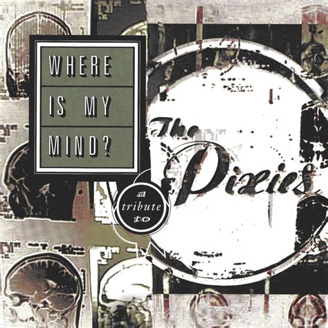 Where Is My Mind A Tribute To The Pixies Lp Vinyl Best Buy