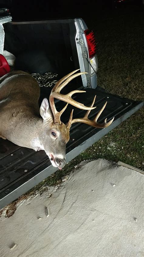 Marians Hunting Stories Etc Etc Etc Jones County Buck