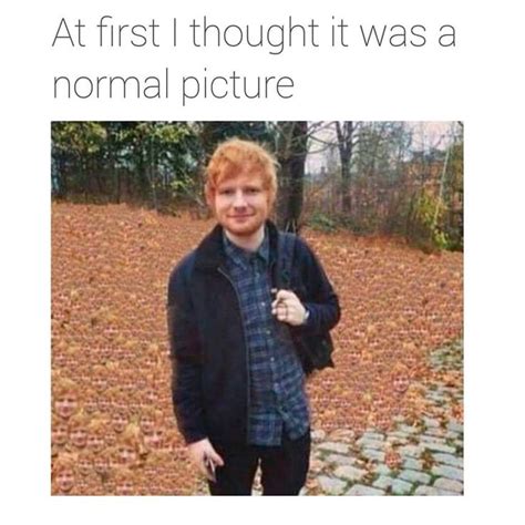Ed sheeran discover the magic of the internet at imgur, a community powered entertainment destination. https://i.imgur.com/jWoKlpj.jpg | Funny pictures, Funny memes, Ed sheeran