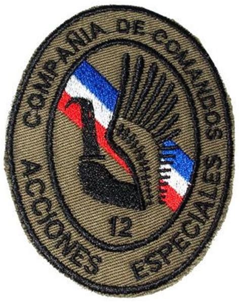 Compa A De Comandos Acciones Especiales Insignias Militares Simbolos Patrios Insignias