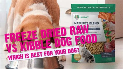 Freeze Dried Raw Dog Food Vs Kibble Which Is Right For Your Dog