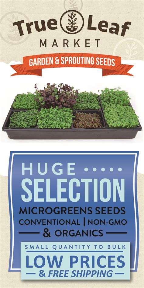 From Microgreens Growing Starter Kits For Countertop Hobbyists To Bulk