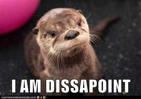 Im Otterly Disappointed Son I Am Disappoint Know Your Meme