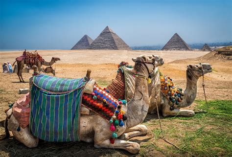 The great pyramid of giza also known as the pyramid of khufu or the pyramid of cheops once among the seven wonders of the ancient world, is the oldest and largest of the three pyramids in the giza according to tripadvisor travellers, these are the best ways to experience pyramids of giza Giza Pyramids | Egyptian Museum Tour | Camel Ride | Ibis ...