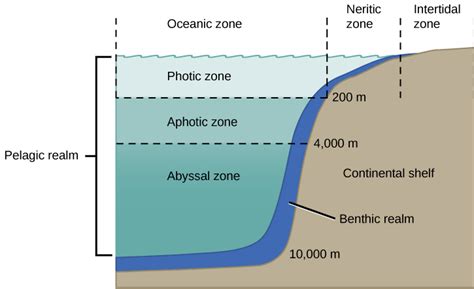 Aquatic And Marine Biomes · Concepts Of Biology