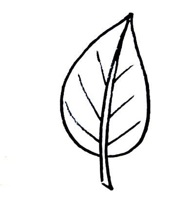 Drawing leaf line drawing leaf drawing line leaf line pattern lines hand painted decoration element classic floral flower decorative template painting flowers patterns background ornate classical shading. Leaves Drawing Simple - ClipArt Best