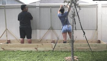 How Much Does A Vegetable Garden Cost? - Mini Urban Farm