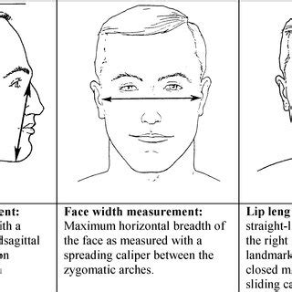 Respirator Facial Hair Diagram General Wiring Diagram